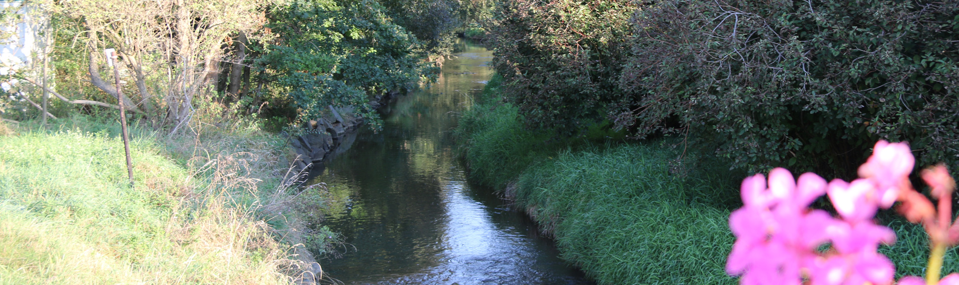 Header Unterroth - Roth