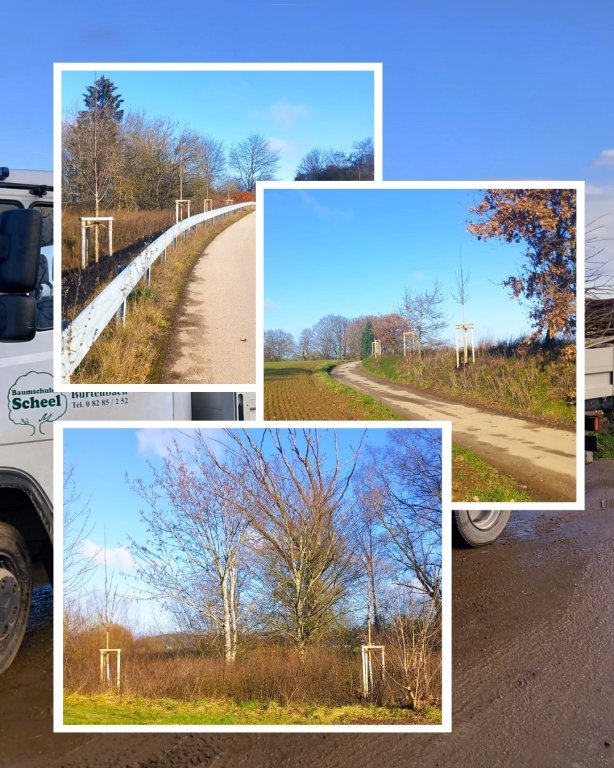 Willkommensbäume